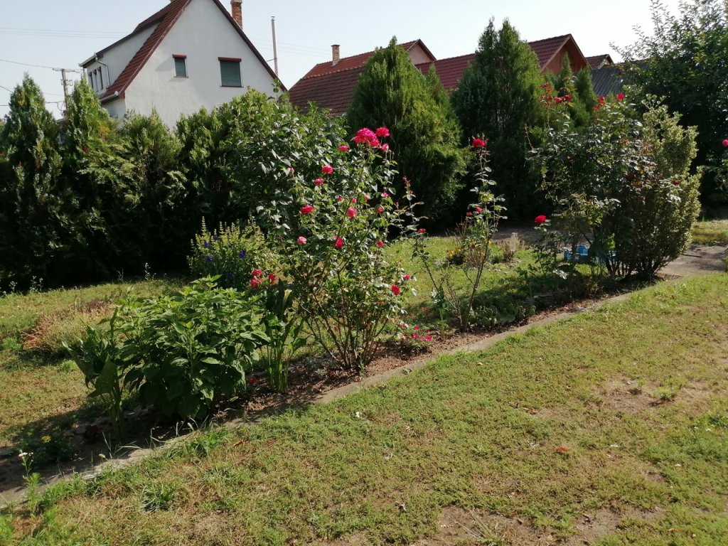 Réz Józsefné kertje 05